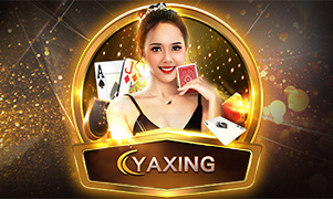 902bet 9fp bet cassino iOS